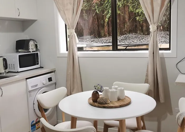 Guests Close To Redwoods