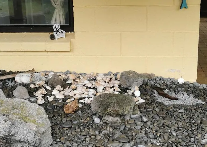 Apartment Guests Close To Redwoods *