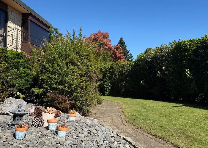 Apartment Guests Close To Redwoods *